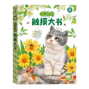 【0-3岁】会动的触摸大书 宝宝的触摸书婴儿幼儿启蒙认知英语早教儿童益智地板亮丽精美绘本立体翻翻机关书小鸡球球小兔比利触摸书