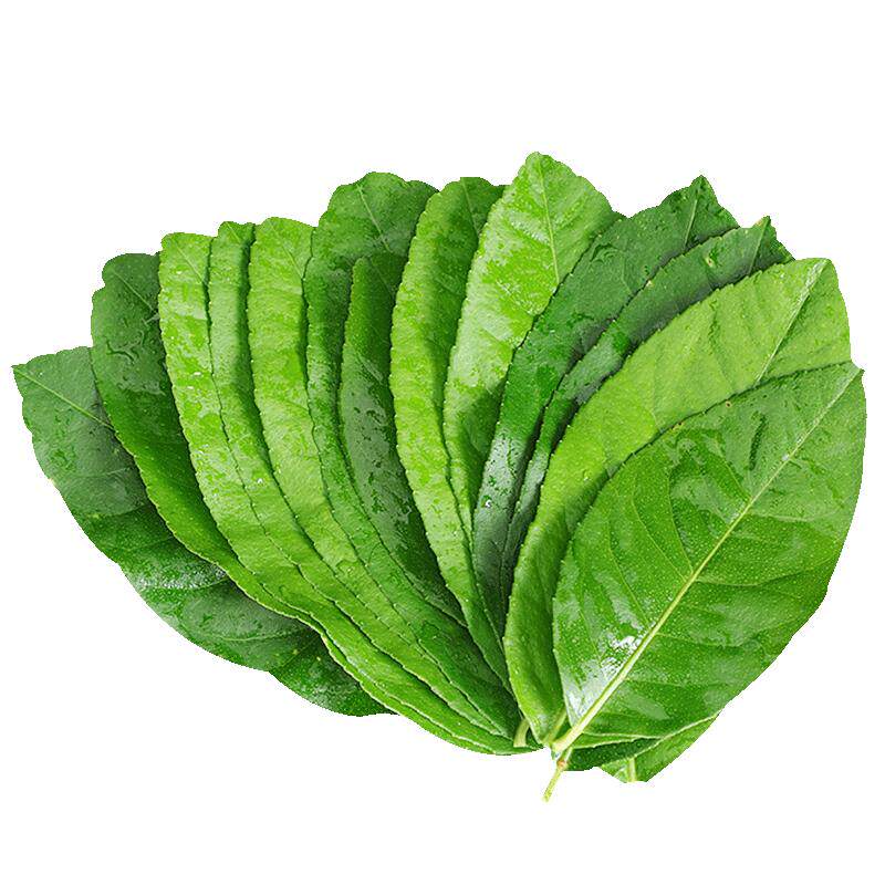新鲜柠檬叶食用佐料冬阴功原料