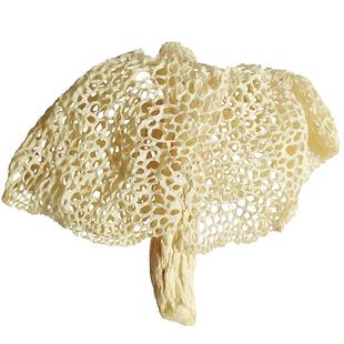 长裙竹荪四川蜀南竹海特产干货天然无硫长宁竹荪50g宜宾双溪特产