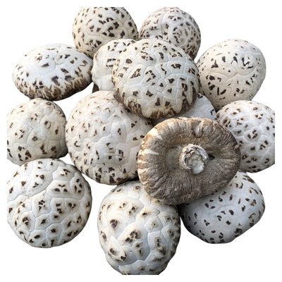 出口级散装花菇泌园花菇