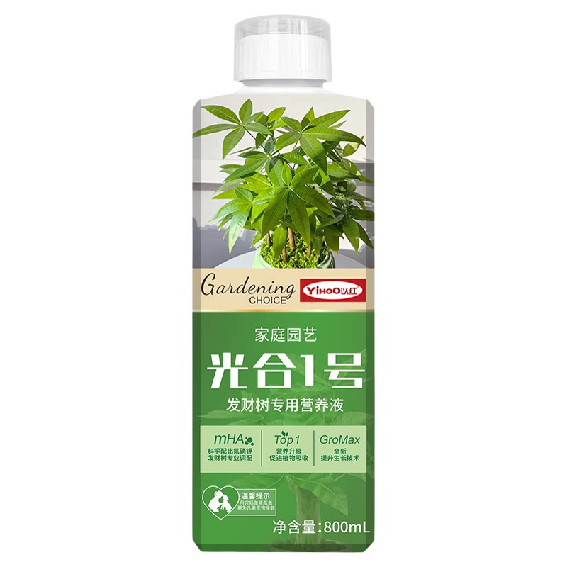 发财树专用营养液800ml治黄叶