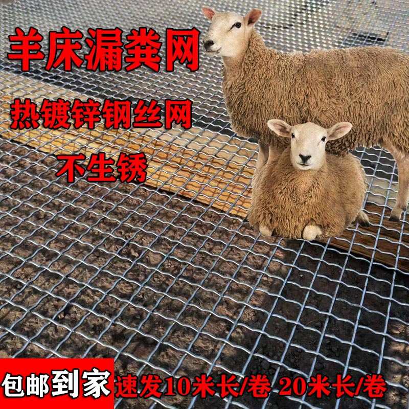 羊床漏粪钢丝网不生锈热镀锌钢丝网筛沙网鸡鸭鹅养殖漏粪钢丝网