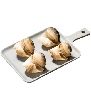 大连特大海螺头去壳去内脏非香螺无沙非田螺新鲜现剥冷冻即食