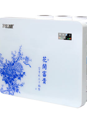 英浦尼ro反渗透五级过滤款净水器