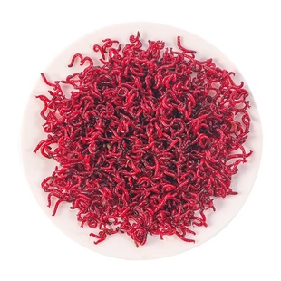 活体红虫六角恐龙饲料红血虫小公虫乌龟鳄龟龙鱼活体饲料肉食鱼粮