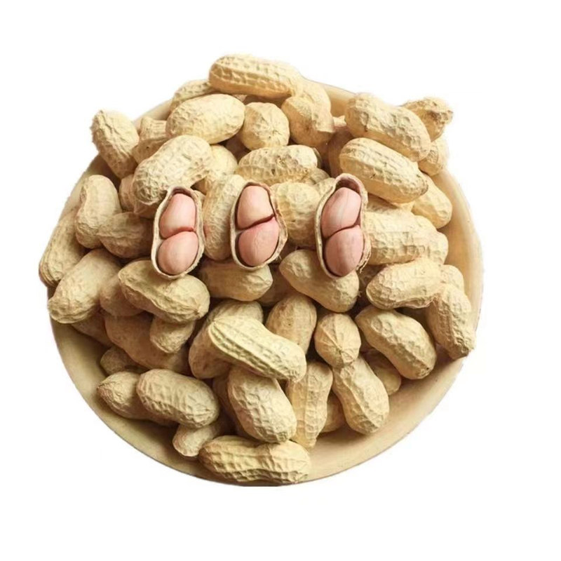 【柴火炒花生】炒原味小珍珠花生柴火烘培炒花生原味炒熟带壳