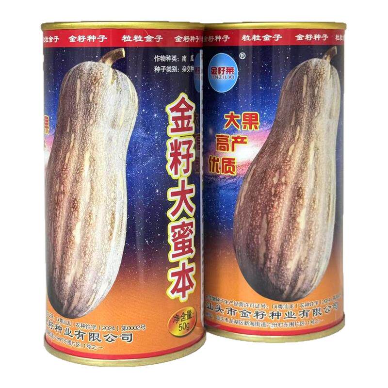 金籽大蜜本南瓜种子高产抗病板栗味甜香瓜种籽农家春秋季播蔬菜种