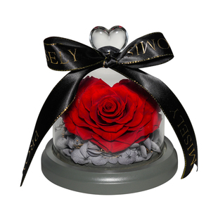 永生花玻璃罩礼品盒玫瑰真花束情人节求婚送女友生日创意爱心礼物