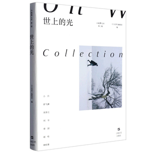 世上的光 小说界文库第二辑上海文艺出版社 作者小白/舒飞廉/周李立/何兮/曽园/赵松/韩松落小说