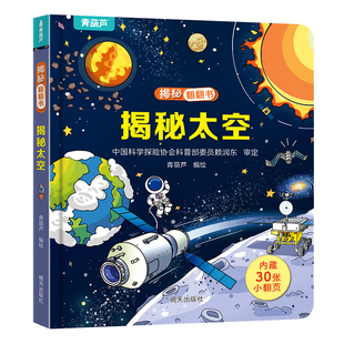 青葫芦揭秘翻翻书系列全套 幼小衔接科普百科类书籍 儿童启蒙早教书 揭秘夜晚 工地 昆虫提高认知思维 亲子互动 适合234567岁儿童