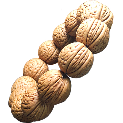 蚂蚁纹柳叶脐桃核精品佛珠手串