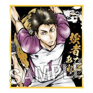 现货PROOF排球少年激斗色纸