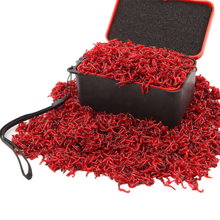 天津红虫子活饵鲜活鱼虫垂钓鱼饵血虫红线虫赤虫鲜红虫线虫水蚯蚓