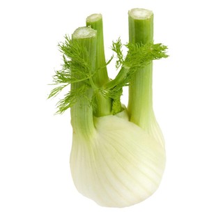 割茬茴香种子茴香种籽四季菜种子大全春夏秋季蔬菜菜种籽农家孑