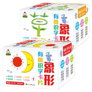 儿童识字卡片 彩图象形字 全套2盒幼儿看图认字识字卡0-3-6-8岁宝宝早教书籍撕不烂一年级幼儿园学前教具学习拼音汉字笔画笔顺词组