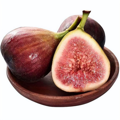 无花果树果苗家庭盆栽当年结果