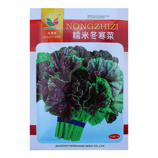 糯米冬寒菜种子冬苋菜种籽马蹄菜葵菜高钙菜盆栽菜籽四季蔬菜苗孑