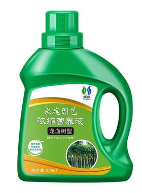 龙血树专用肥料室内绿植养花花肥