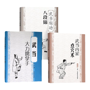 全3册武当内家点穴术+大力擒拿手+秘功八段锦 徐宏魁点穴书籍点穴绝技武功秘籍实战擒拿散打书易筋经图解自卫搏击健身养生保健手册