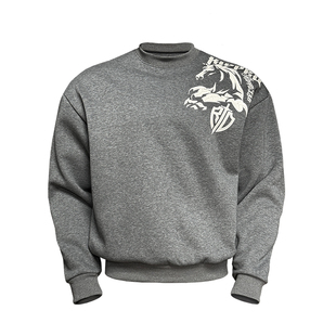 撕裂组织2026马年限定战马半甲盾标拉浆工艺廓形加绒卫衣运动健身