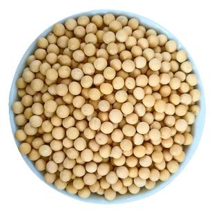 新黄豆农家优质黄豆打豆浆黄豆当季新豆做豆腐豆花大豆子五谷杂粮