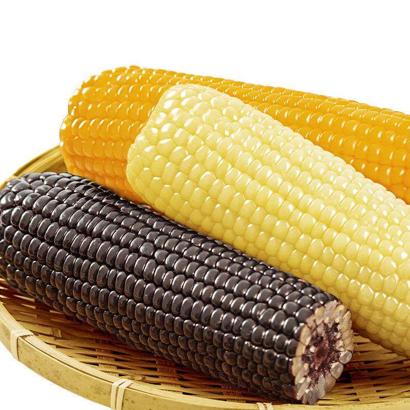 【一箱尝全品】东北三色混黏糯玉玉米