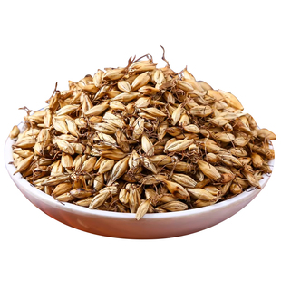 中药材炒麦芽中草药500g麦芽大麦芽茶断回另售炒山楂生麦芽茶克奶