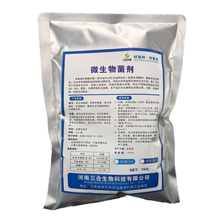 污水处理菌种生化池专用好氧菌厌氧菌硝化菌反硝化菌耐低温复合菌