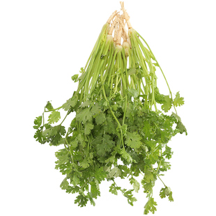 农家小叶香菜四季种子苗盆栽蔬菜种籽2二三月份适合种的什么菜3