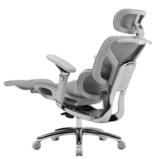 赛谷阿瑞斯人体工学椅撑腰椅电竞椅子老板办公座椅久坐家用电脑椅