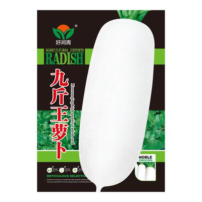 九斤王白萝卜种子春秋冬四季播种蔬菜籽种庭院大田种植长白萝卜孑