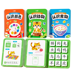 识字书幼儿童看图识字卡片启蒙幼儿园认字神器挂图宝宝早教安静书