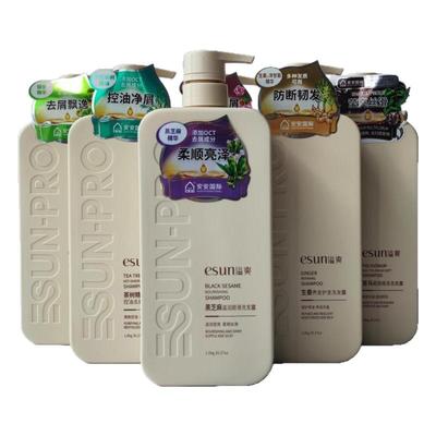 安安银杏首乌黑芝麻茶籽茶树生姜