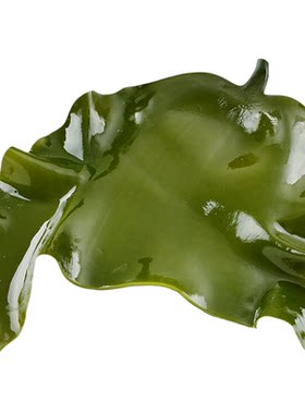 荣成特产厚盐渍海带头海带根片条丝无沙新鲜海带非干货2500g