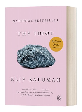 英文原版小说 The Idiot 白痴 现代小说 2018普利策小说奖入围 英文版 进口英语原版书籍