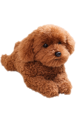 非遗凯特胡赛尼仿真泰迪犬狗狗毛绒公仔玩偶静态摆件拍摄道具模型