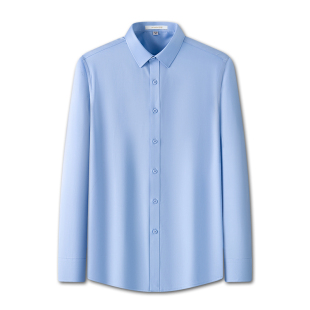 Romon/罗蒙衬衫长袖男公务员面试衬衣抗皱商务正装秋季新品