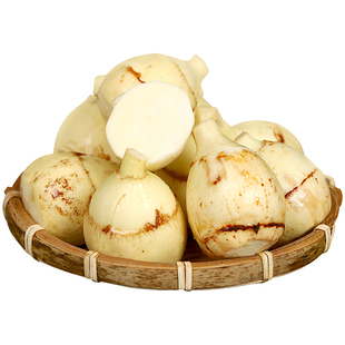 云南新鲜慈姑茨菰茨菇白马蹄鲜慈姑5斤粉糯荸荠新鲜蔬菜顺丰包邮