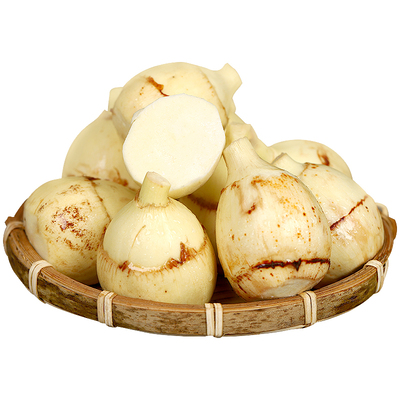 云南高原新鲜茨菇现挖顺丰包邮