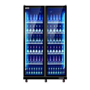 志高 冷藏展示柜啤酒饮料柜立式商用冰箱双门保鲜冰柜大容量冷柜