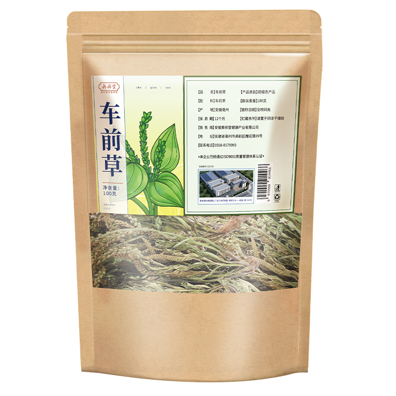 【藥房直售】車前草野生好貨