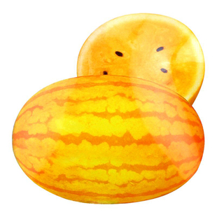 安生黄美人西瓜种子黄皮黄瓤大西瓜四季种籽大全高产夏季水果早熟