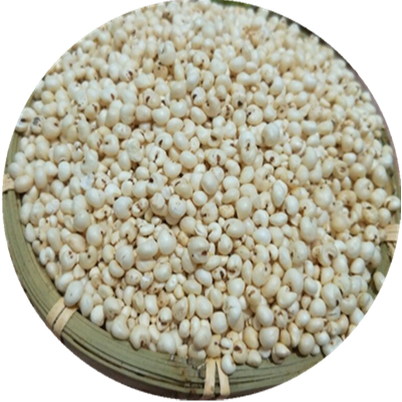 传统爆米花老式炭炉爆小米花 米花糕现爆小米爆米爆谷米花2件包邮