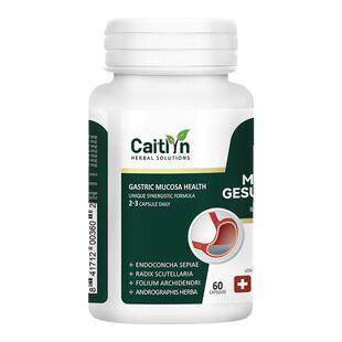 德国胃粘膜保护剂胶囊调理肠胃食管养胃粉护胃黏膜酸反流烧心