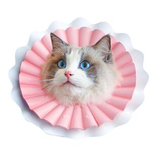元気喵丨光芒圈猫咪伊丽莎白圈防水绝育猫癣驱虫伊利沙防舔头套