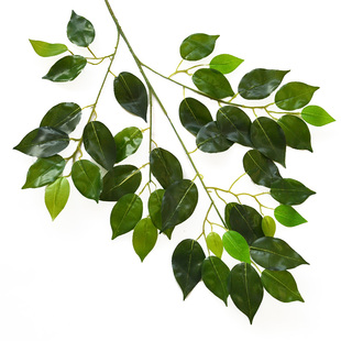 仿真榕树叶手感胶假树叶园林塑料叶子绿色植物造型装饰树叶树枝