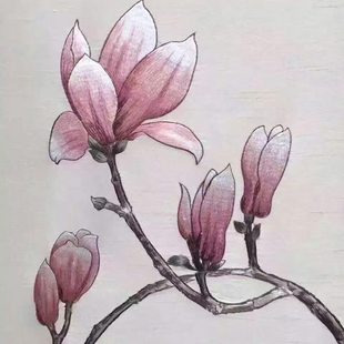 【万阳】4头电脑绣花机四头帽绣机成品枕头抱枕平绣帽子绣花机