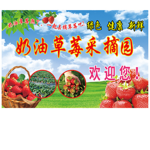 草莓采摘园广告牌文明采摘警示牌农场大棚禁止品尝请勿践踏广告布