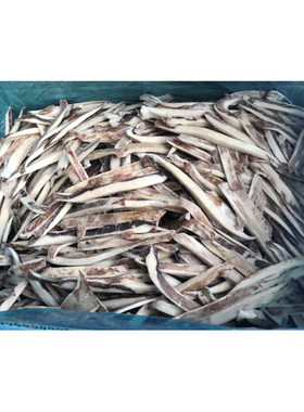 商用脆口鱿鱼条海鲜水产