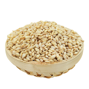 东北大麦仁2.5kg脱壳生麦粒纯新米五谷杂粮去皮麦子非小麦种子5斤